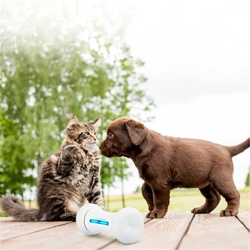Smart Electric Robot Bone Dog Toy — Motion-Activated Interactive Toy, 4 Colors