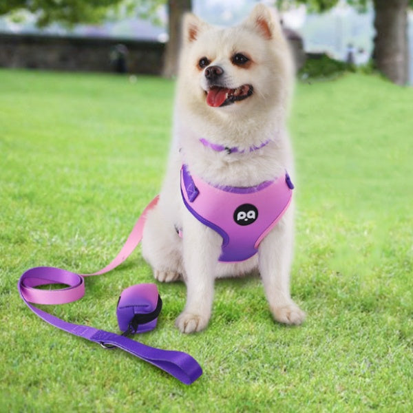 Pet Dog Handheld Rope Strap Set