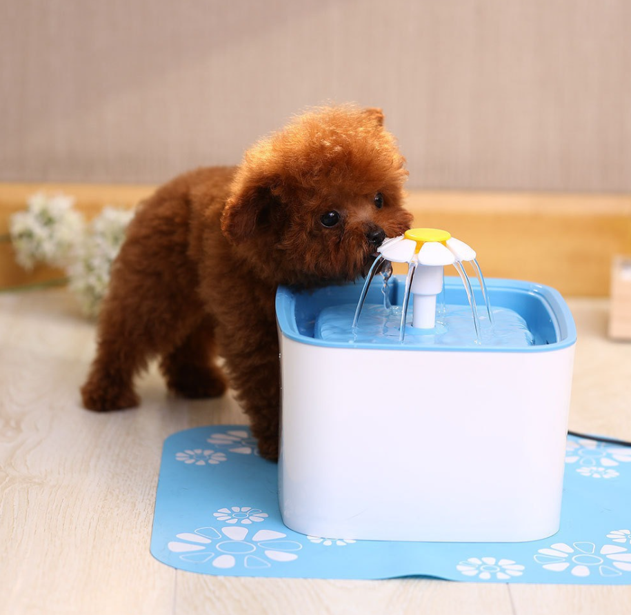 Automatic Pet Water Fountain for Cats & Dogs – 2.5L Self-Filtering Dispenser