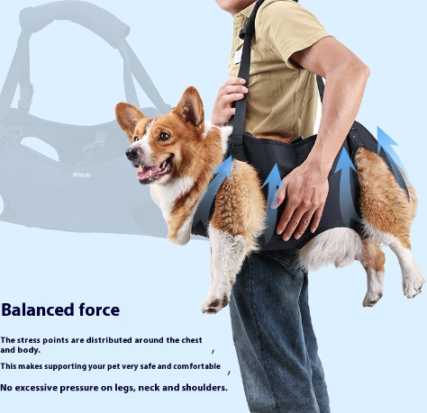 Dog Injury Support Strap — Adjustable Travel Auxiliary Harness for Injured & Senior Dogs (S–XL)