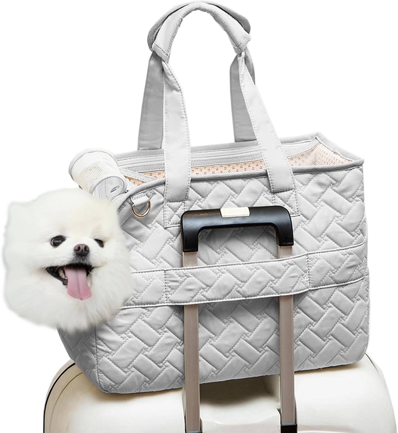 Pet Carrier Bag