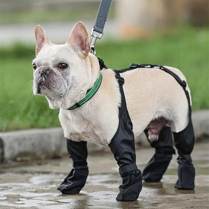 Waterproof Dog Boots — Anti-Slip, Adjustable, Breathable, Sizes S–XXL (Set of 4)