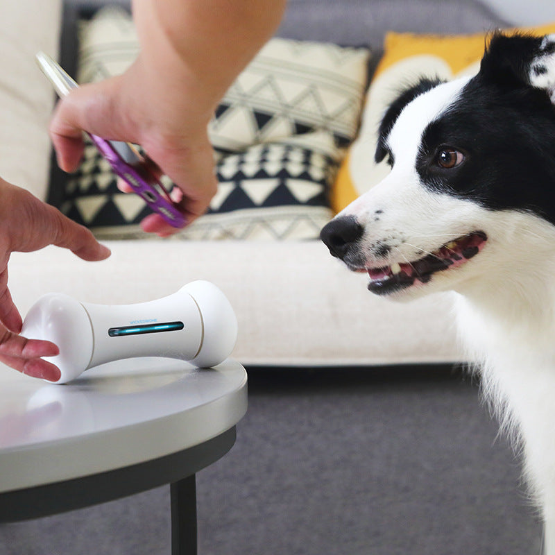 Smart Electric Robot Bone Dog Toy — Motion-Activated Interactive Toy, 4 Colors