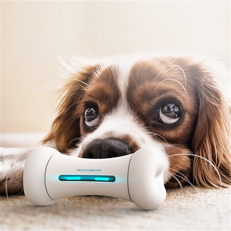 Smart Electric Robot Bone Dog Toy — Motion-Activated Interactive Toy, 4 Colors
