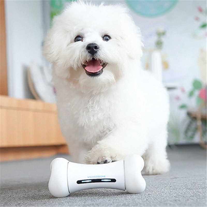 Smart Electric Robot Bone Dog Toy — Motion-Activated Interactive Toy, 4 Colors