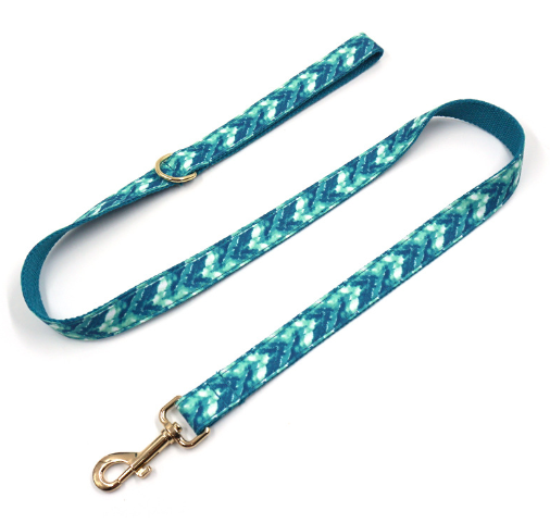 Pet Collar with Leash and Bow Accessory