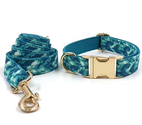 Pet Collar with Leash and Bow Accessory