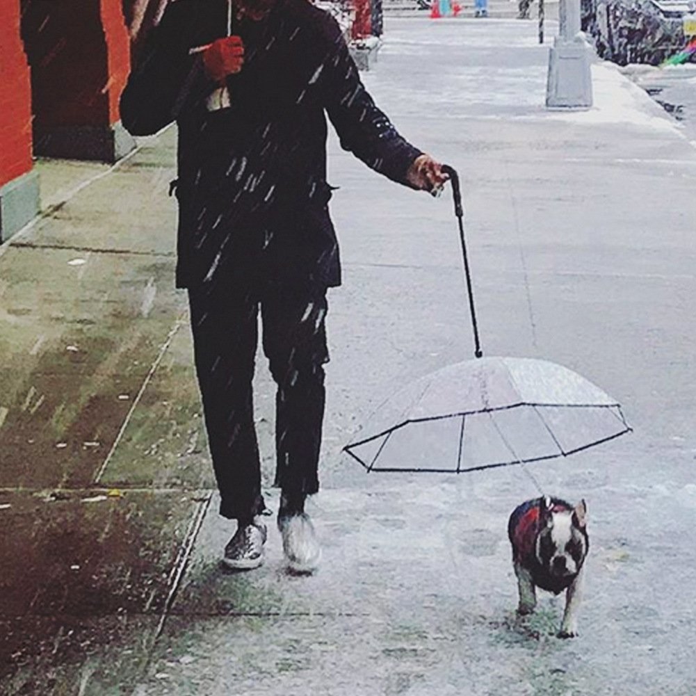 Transparent Pet Umbrella – TPU, Iron Frame, Keeps Dogs Dry on Rainy Walks