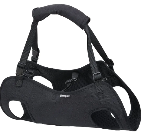Dog Injury Support Strap — Adjustable Travel Auxiliary Harness for Injured & Senior Dogs (S–XL)
