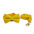 Velvet Pet Collar with Traction Rope