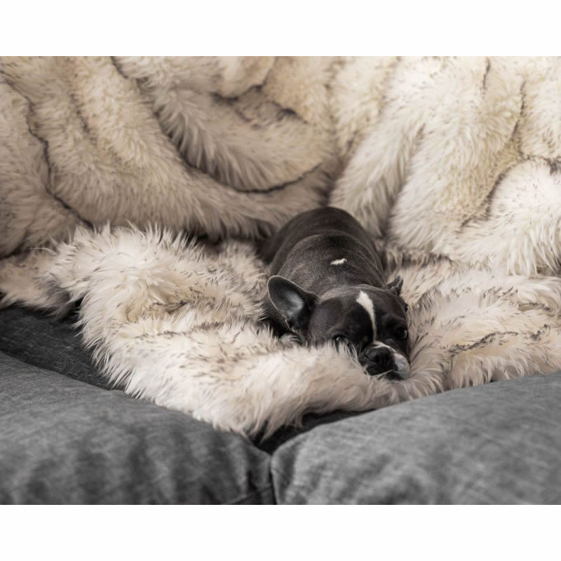 Waterproof Sherpa Fleece Dog Blanket — Dual-Sided, Furniture Protector, 2 Colors & 2 Sizes