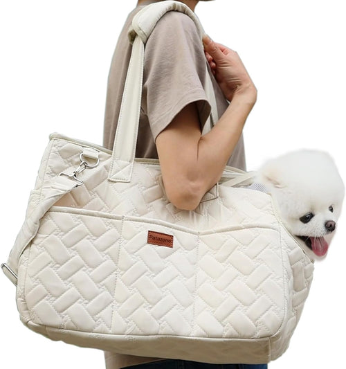 Breathable Mesh Pet Carrier Bag — Soft-Sided Travel Bag for Cats & Small Dogs, 2 Sizes