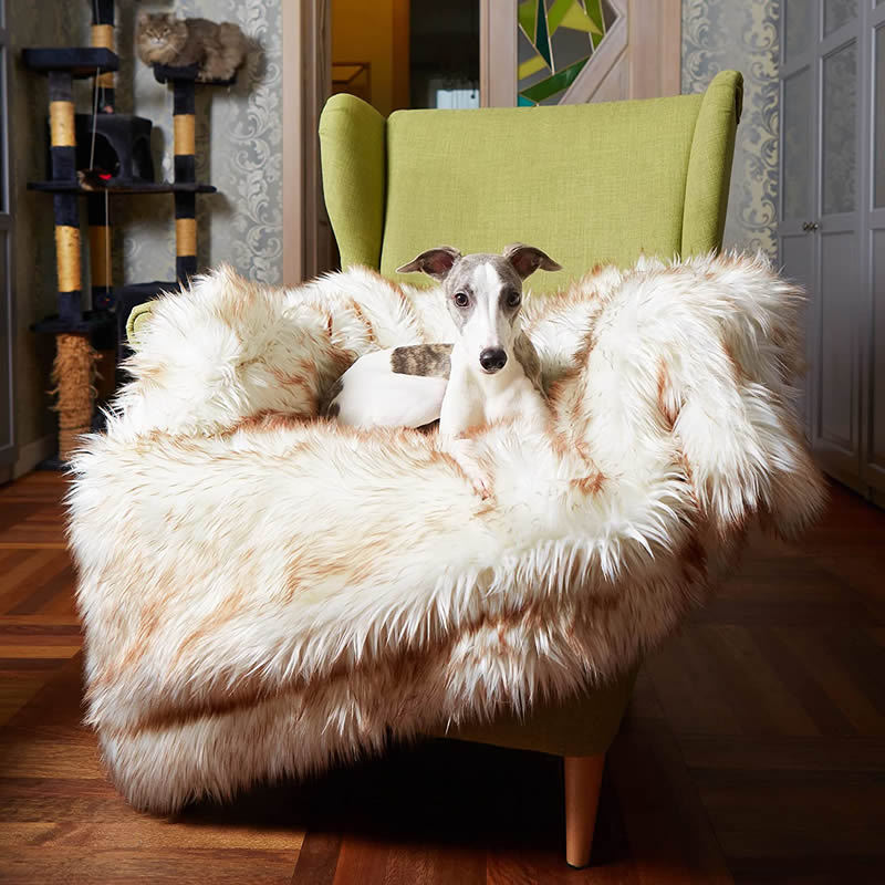 Waterproof Sherpa Fleece Dog Blanket — Dual-Sided, Furniture Protector, 2 Colors & 2 Sizes