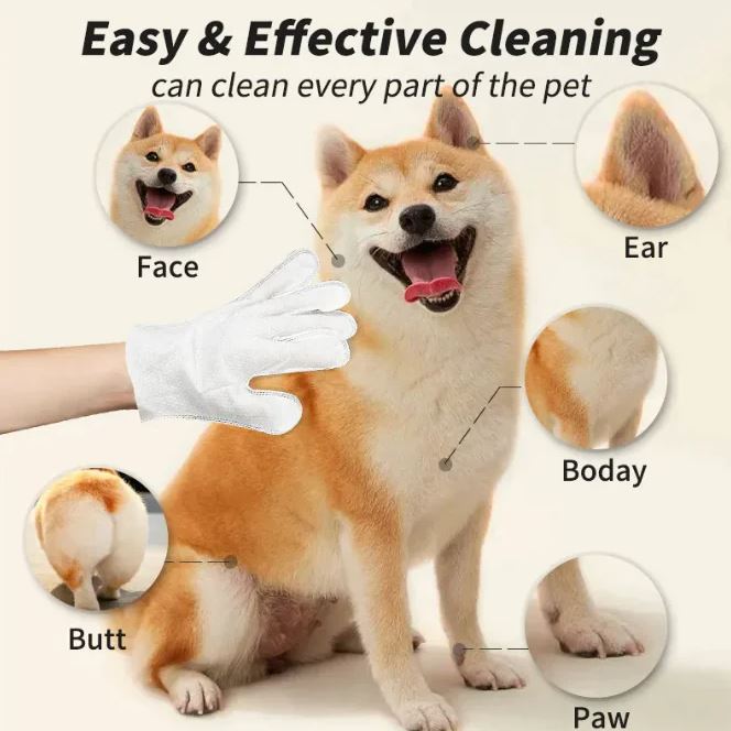Pet Cleaning Gloves & Wipes — Disposable Grooming Essentials for Dogs & Cats (9 Types)