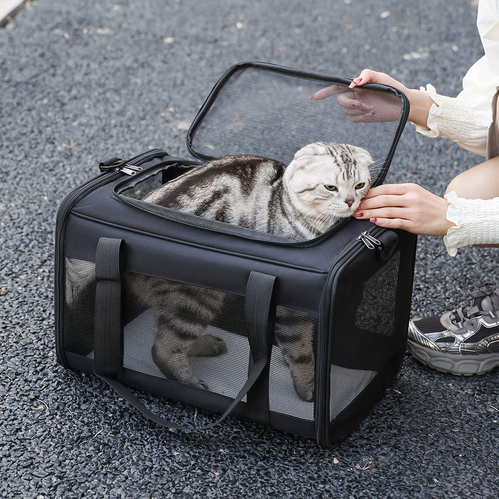 Portable Pet Carrier Bag