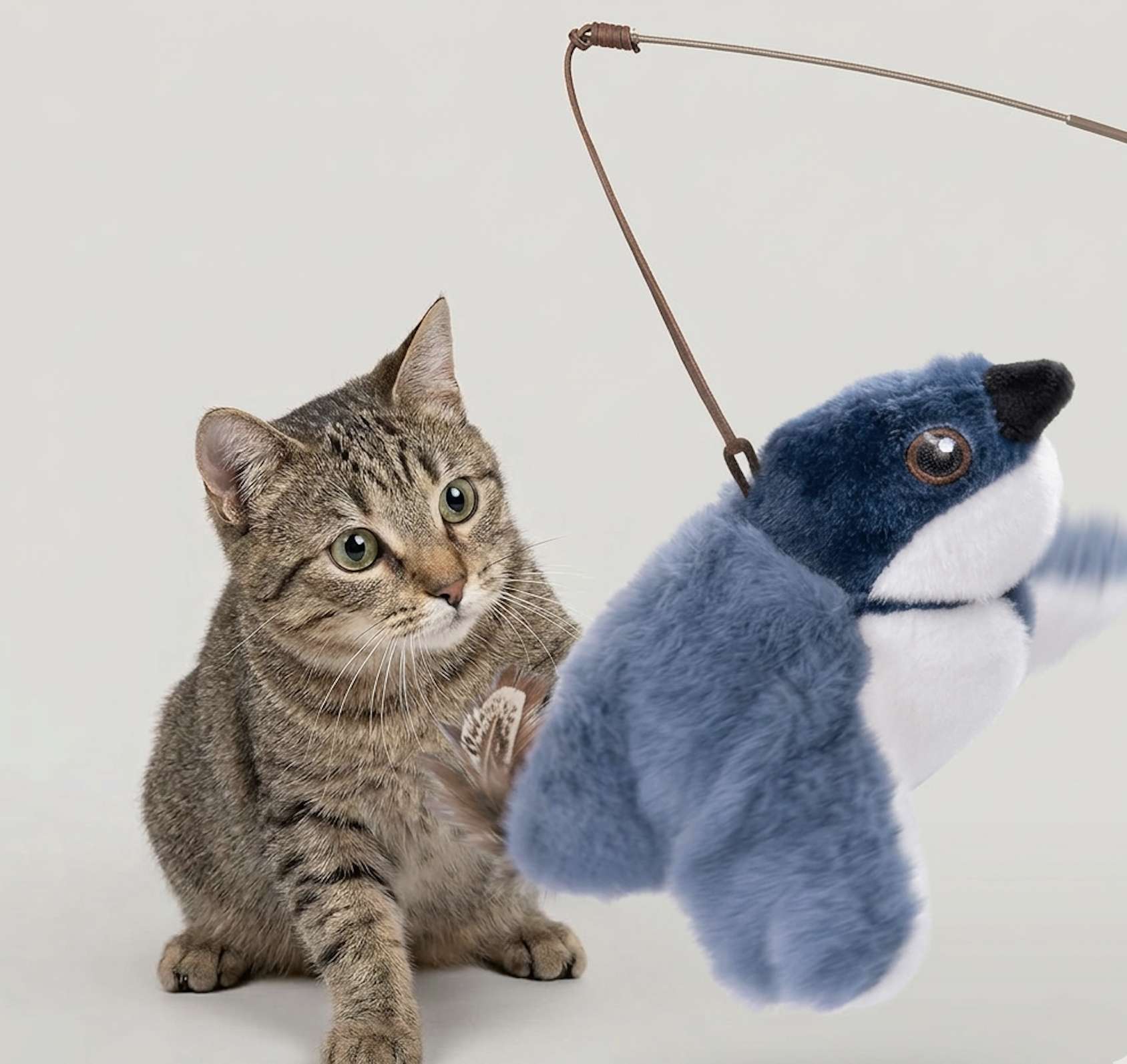 Flapping Bird Cat Toy — USB Rechargeable, Realistic Flapping Wings, 4 Styles