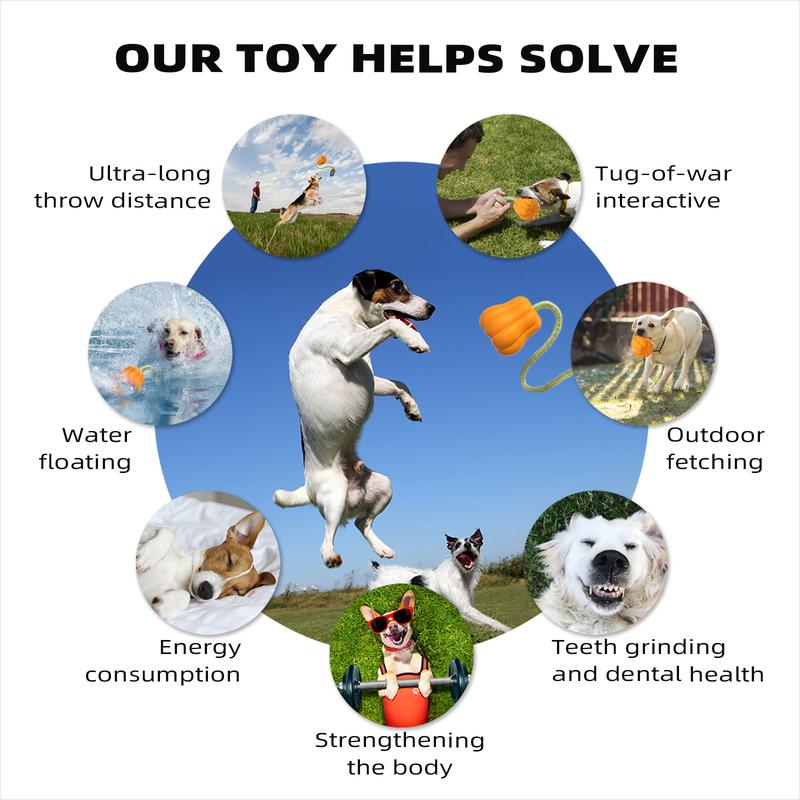 c01472b3f7266239bb1b04c065368d08